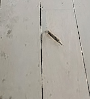 床キズのリペア