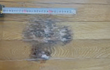 床キズのリペア